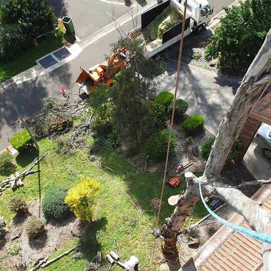 The crew at Heartwood Tree Care completing emergency tree work after a heavy storm.